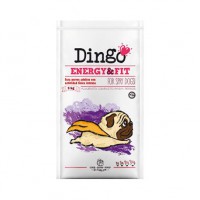 Dingo Energy & Fit