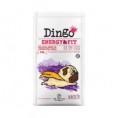Dingo Energy & Fit